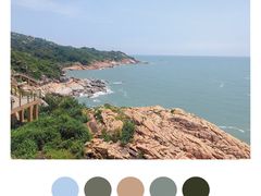 -广东惠东海龟国家级自然保护区