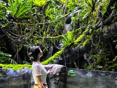 -海合安成都极地海洋公园