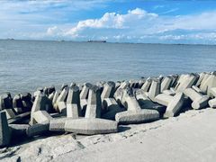 -上海吴淞炮台湾国家湿地公园