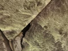 -杏花村水席楼·洛阳水席(老城十字街店)