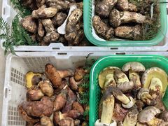 -双喜农庄·菌香园(安居家园店)