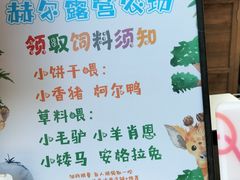 -HERRE·FARM 赫尔露营农场·团建聚会包场