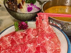 -喜聚薈·花膠雞海鮮火鍋(越秀店)