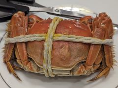 -新光酒家·河豚·海鲜·蟹料理(浦东店)