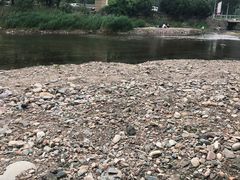 -白河湾生态旅游一条川