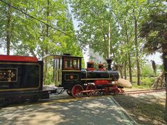 -合肥滨湖国家森林公园