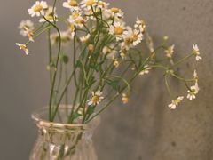 -红小满休闲餐厅(十全街店)