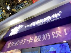 门面-一只酸奶牛(八一路店)
