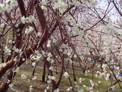 -长春公园(普阳街道)