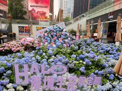 -HALO广场(梨园路店)