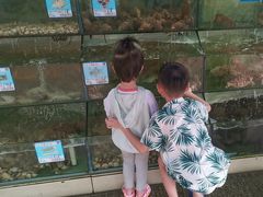 -小海豚•老字号海鲜餐厅(天涯店)