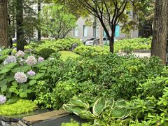 -徐家汇源景区-衡山公园