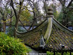 -绮园景区