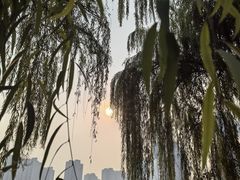 -木塔寺遗址生态公园