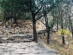 -北京鹫峰国家森林公园
