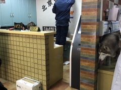 -北京佳信宠物医院