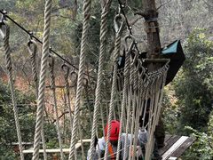 -芦仙山景区-飞越丛林探险乐园