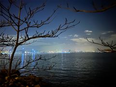 -深圳湾公园(南山区)