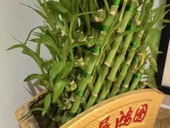 -麦子MaiMassage(打浦桥店)