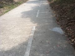 -燕晗山郊野公园