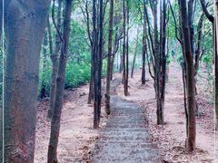 -广州市帽峰山景区