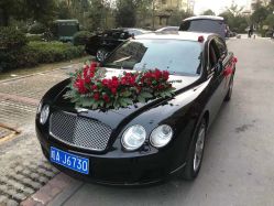 -蚂蚁婚车