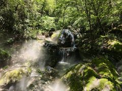 -牛背梁国家森林公园