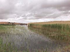 -沙漠世界地质公园