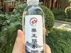 -天津市峰山药王古寺