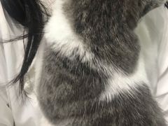 -申普宠物医院·眼科·心内科·影像科(普陀分院)