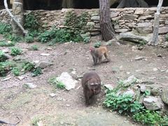 -木兰云雾山