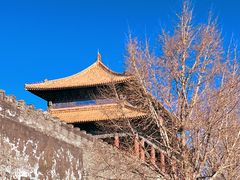 -故宫博物院(故宫)