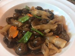 鲍汁菇冧焖细花胶-新兴家喻酒家·羊城名宴(昌岗店)
