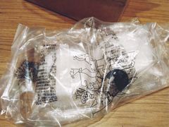 -VT101维多利广场