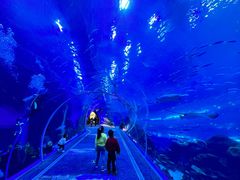 -成都浩海立方海洋公园