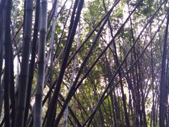 -晓港公园
