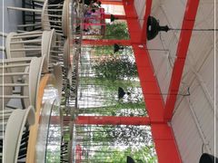 -向外鱼乐·土菜·虹鳟鱼