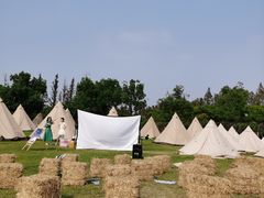 -上海长兴岛郊野公园