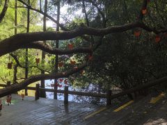 -天目湖山水园