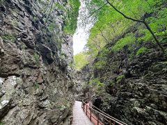 -九龙潭景区