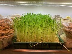 -鲜货俚鲜火锅(青果路店)