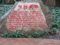 -瑞丽独树成林风景区