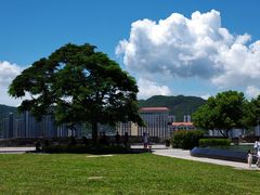 -大炮台