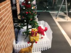 -一兆韦德健身(慧芝湖店)