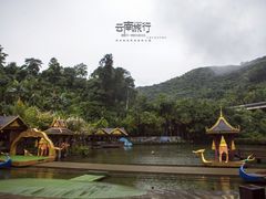 -西双版纳原始森林公园