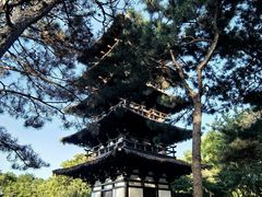 -北京世界公园