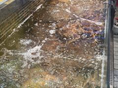 -海鲜e族(马王堆店)