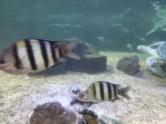 -鸿通城购物中心