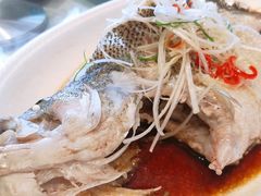 清蒸鲈鱼-玉林烤鸭店(黄村康庄店)
