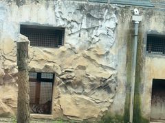 -黔灵山公园